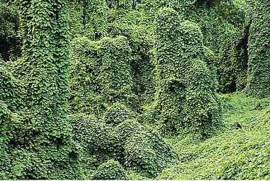 《崩坏：星穹铁道》大黑塔角色PV 「宇宙有天才」