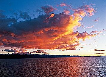  动作冒险游戏《达尔文悖论》Steam页面上线 年内发售